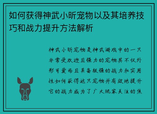 如何获得神武小昕宠物以及其培养技巧和战力提升方法解析